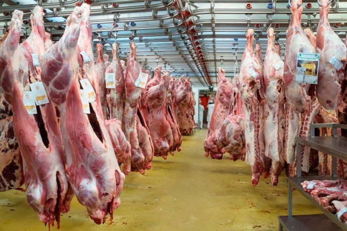 Carne: Prohibirán exportar a quienes abandonen los acuerdos con el Gobierno